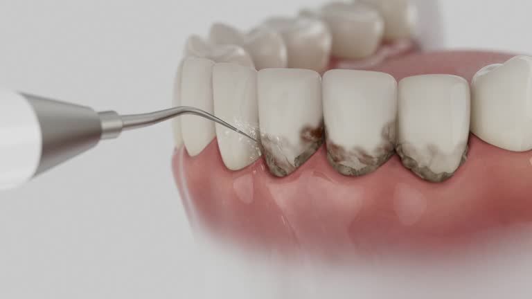 Reliable Dental contractor in Ludington, MI by Dentist Open Now